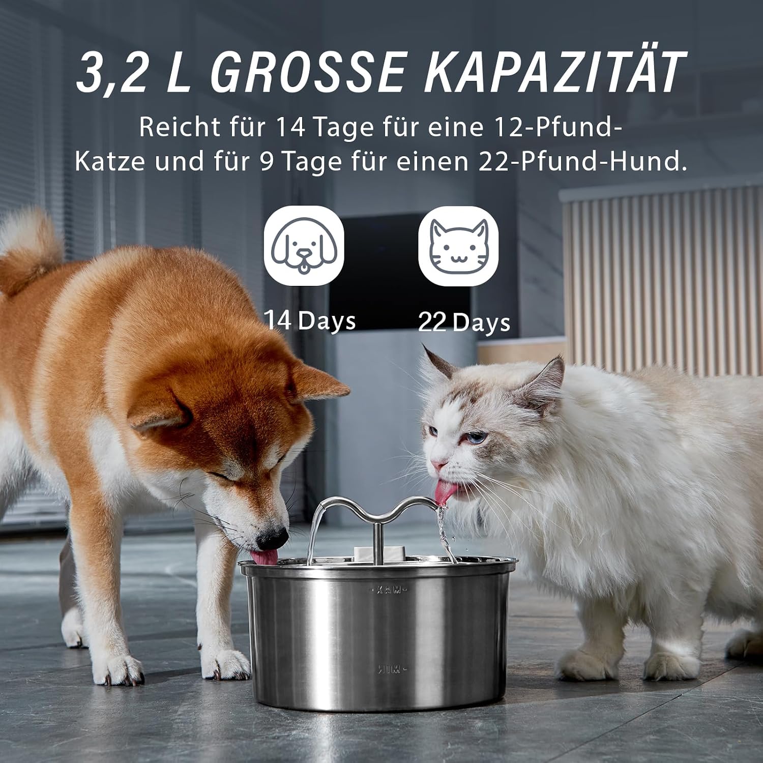 Ein Trinkplatz für alle.