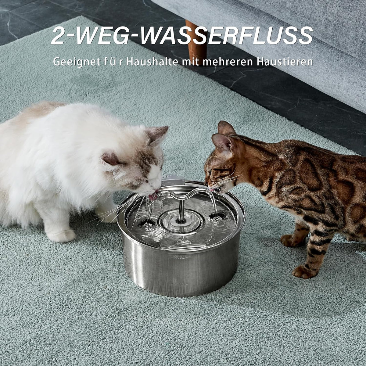 DOOOB Edelstahl-Katzenbrunnen Produktansicht 6